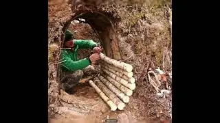 Building a Warm Shelter in the Root of a Fallen Birch Tree for Survival from wild boar