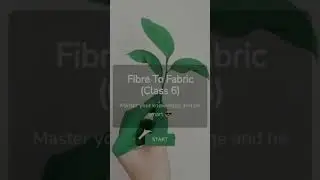 Fibre to Fabric Quiz | #chemistry #fibretofabric #quizzes