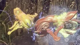 Temple Banshee vs SordBanshee*2