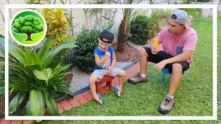 💚 DIY - O QUE AMAMOS FAZER / REVITALIZAÇÃO DO JARDIM