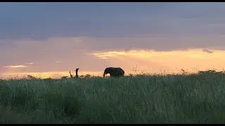 Returning from the Wild with David Whyte!