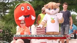 South Carolina Peach Festival continues with big parade