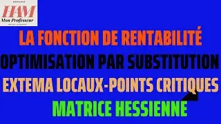 TD10-Méthodes Quantitatives-EX11:Optimisation Par Substitution, Les Extrema Locaux, Points Critiques