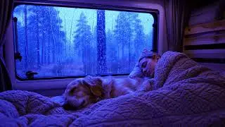 Heavy Rain and Thunder Sounds for Peaceful Sleep and Night Comfort