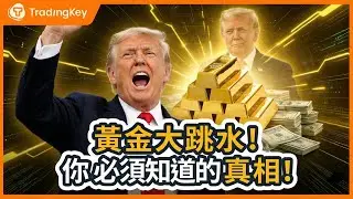 黃金一夜崩盤，純屬機制與情緒面引發的市場修正，基本面並未改變，你別被嚇走！