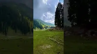 Tape Banda | Taip meadow #meadows #tape #taip #mankiyal #meadowsinswat #forestlife #forestsounds