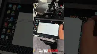 McLaren Diag Reset service intervals