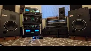 JBL L19's 