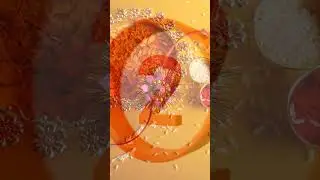 Top 3 facts about Rakhi🤔#shorts&nbsp;#facts&nbsp;#india&nbsp;#viral&nbsp;#trending #rakhi