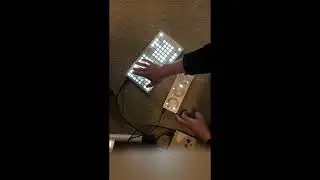 Monome Norns + Arc + Grid (3)