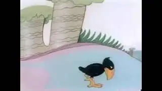 Minah Bird