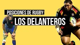 Posiciones en el rugby - Los Delanteros