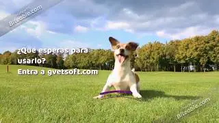 GVET - Software de Gesti&oacute;n Veterinaria