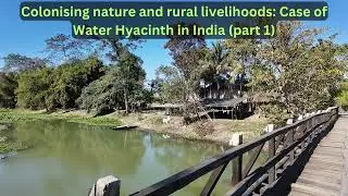 Colonising nature and rural livelihoods Case of Water Hyacinth in India