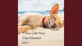 Cat Well Being Music