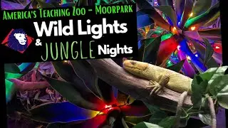 Wild Lights & Jungle Nights (2022) | Moorpark Zoo | Holiday Light Display