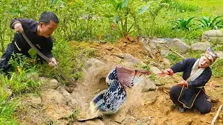 Dwarf Family Renovating Fish Tank Unexpectedly Discovers Snake Cave | Primitive Life