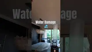#shorts #water #damage #cleaning #mold