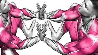 At-Home Pelvic Exercise for Core & Lower Body Support