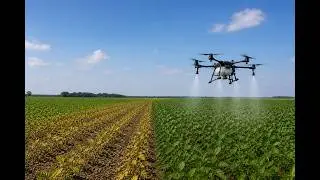 Clethodim application yielded results with a drone.