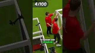 MrBeast Rescued 100 Abandoned Dogs!