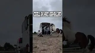 Een paard dat steigert bij de trailer&hellip; dat voelt gevaarlijk en frustrerend tegelijk.