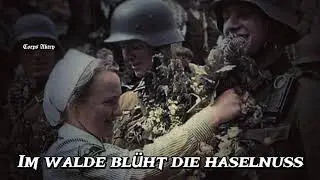 Im Walde blüht die haselnuss [German Soldiers song] - With German, English and Indonesia Lyrics