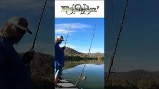 Bluestone Unexpected Catch 10 18 2025