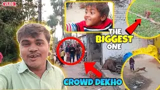 Gaon Mai Aagye Junglee BANDAR (Monkey) 😲
