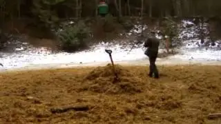 Leśnik porządkuje karmisko