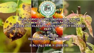 CAUSES AND CLASSIFICATION OF PLANT DISEASES (PART 1)