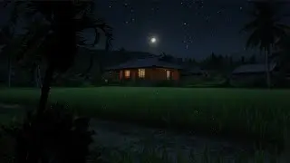 Cricket Sounds in Quiet Night | Nature Ambience for Deep Sleep, Relaxation and Stress Relief 😴