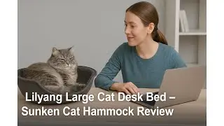 🐱 Lilyang Large Cat Desk Bed &ndash; Sunken Cat Hammock Review 🛏️