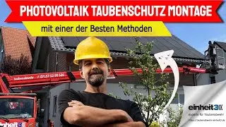 Photovoltaik Taubenschutz Montage