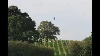 Discover English Wine | Abingworth Vineyard in West Sussex