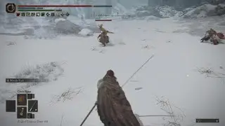 Fighting For My Life - ELDEN RING Invasion