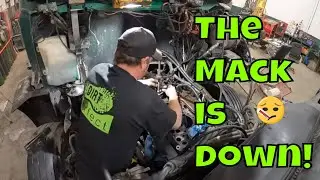 We have one sick puppy dog- major engine problem with the Mack lowboy truck