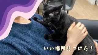 落ち着く場所見つけたかな？ ー2日目ー