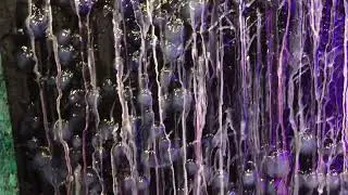 Up close and personal with VISCERAL art
