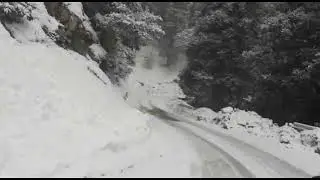 Dhanaulti Snowfall // Snowfall in Dhanaulti // best tourist place // first Snowfall 2022