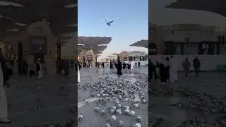 Лаббайк Аллахумма Лаббайк может позвать вас в Мекку иншаАллах 🤲#saudiarabia #mekkah #shortvide Umra