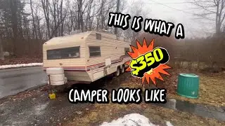 I Bought a $350 CAMPER from Fb Matketplace!!