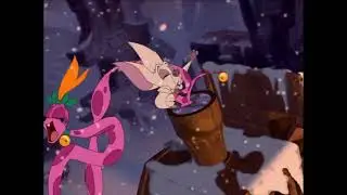 Bartok The Magnificent in a Nutshell