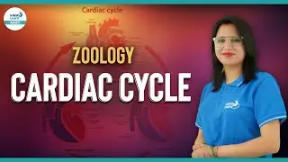 Cardiac Cycle || Zoology || #Shorts || Medha Joshi || Infinity Learn NEET