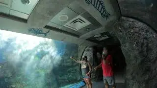 Long Beach Aquarium - Pet Sharks and Sting Rays!
