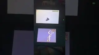 Mario Kart 7 Female Mii Voice 4 (Brown,White,Black)