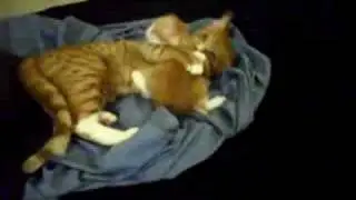 ATTACK