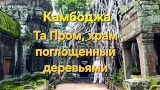 20 серия. Храм Та&nbsp;Пром. Камбоджа.