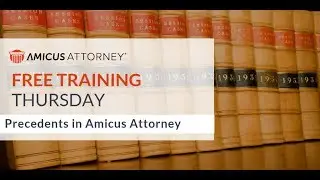 Amicus Attorney - Precedents