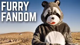 Фурри не такие странные, как вы думаете